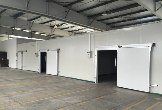 Panel phòng lạnh polyurethane tùy chỉnh để điều khiển nhiệt độ