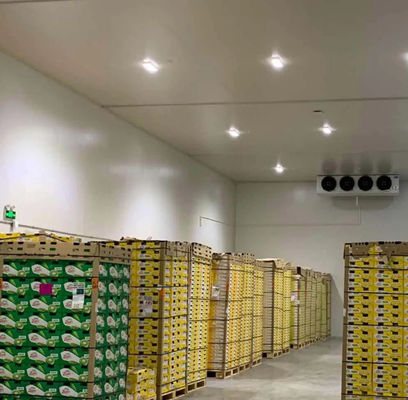 Panel PU phòng lạnh tùy chỉnh Độ bền nén cao 200kpa và chiều dài tùy chỉnh cho hiệu suất làm mát tối ưu