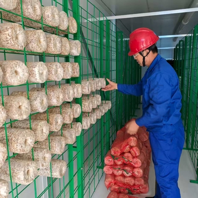 Chất chứa trồng nấm kiểm soát môi trường chính xác