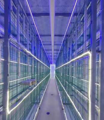 Nông trại chứa nấm bảo trì thấp với giám sát từ xa và thùng chứa tiêu chuẩn 20ft hoặc 40ft