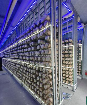 Nông trại chứa nấm bảo trì thấp với giám sát từ xa và thùng chứa tiêu chuẩn 20ft hoặc 40ft